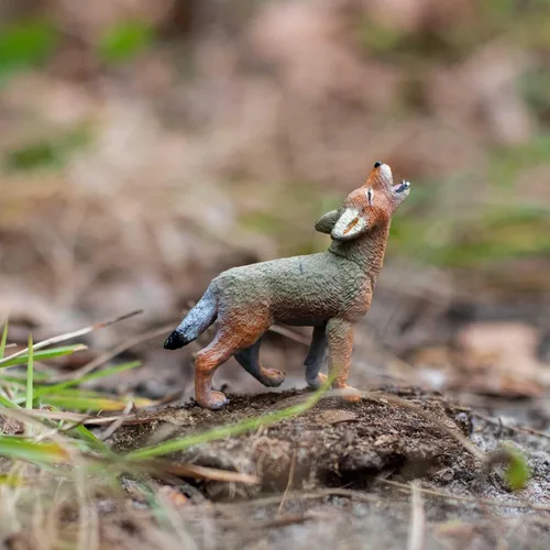 Vista 5 de Safari Ltd. Coyote - Figura de modelo realista de 2.5 pulgadas, juguete educativo para niños, niñas y niños a partir de 1 año