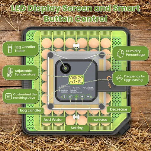 Vista 2 de Incubadora de 48 huevos para incubar huevos con giro automático de huevos, control de temperatura y humedad, incubadora de huevos con ventana