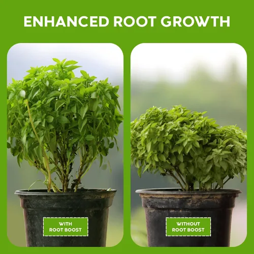 Vista 5 de Big Foot Polvo soluble en agua probiótico para plantas establecidas y trasplantes – Cultiva el tamaño de la raíz, aumenta el nitrógeno, cultiva