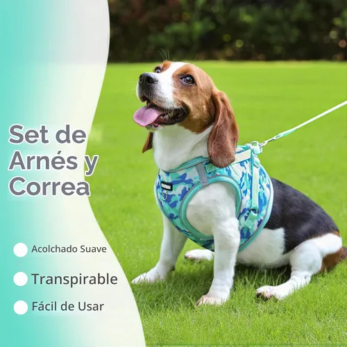 Vista 2 de Arnés Step-in para perro con conjunto de correa, ajustable suave acolchado y malla transpirable para perro de tamaño pequeño, reflectante sin Verde