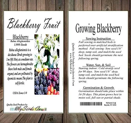 Vista 5 de Big Pack - Fruta de mora, Rubus Allegheniensis, semillas - Semillas sin OMG (mora negra (1,000 semillas))