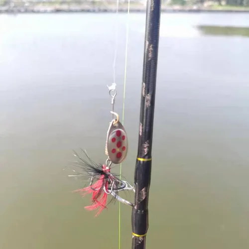 Vista 8 de 10 unidades de Señuelos de pesca Spinnerbait, kit de cebos de metal duro para róbalo, trucha, salmón, con cajas de anzuelos