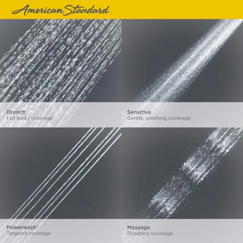 Vista 5 de American Standard Regadera 9038254.002 Spectra Dou 1.8 CH 1.8, 9038254.295