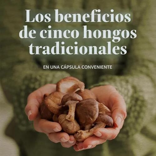 Vista 2 de Nature's Way Mezcla de 5 hongos, 1,000 mg de mezcla de hongos por porción