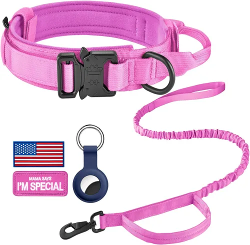 Vista 25 de DAGANXI - Collar táctico para perro, collar ajustable de nailon para adiestramiento con asa de control y hebilla, para perros medianos y grandes