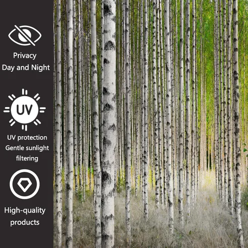 Vista 2 de Película decorativa de privacidad para ventana, control de calor, bloqueo solar, protección UV, diseño de bosque de abedul, adherencia estática