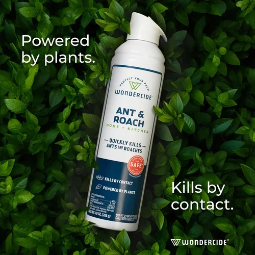 Vista 9 de Wondercide - Aerosol de hormigas y cucarachas para cocina, hogar y áreas interiores - Ant & Roach - Ant & Roach - Ant & Roach Spray para cocina
