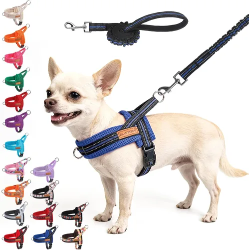 Vista 57 de BEAUTYZOO Arnés para Perros Pequeños, Juego de Arnés y Correa sin Tirones, Arnés de Pecho para Cachorros a Prueba de Escapes con Mango, Arnés Beige