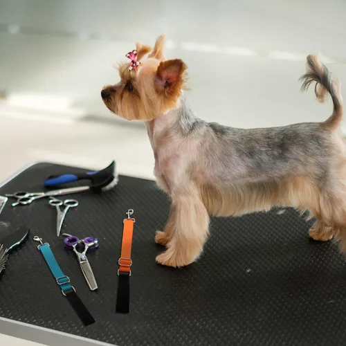 Vista 3 de Paterr 5 piezas de accesorios de brazo de aseo para perros y mascotas, correa de extensión, bucles de aseo ajustables, extensor de brazo de aseo
