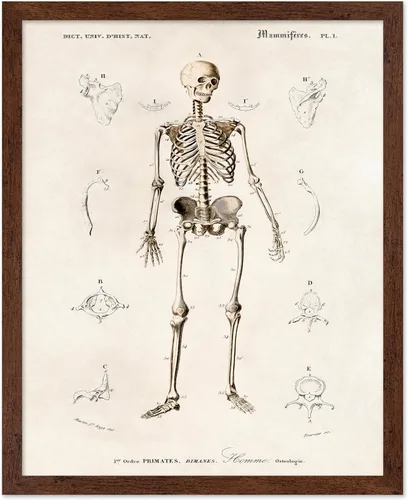 Vista 38 de Poster Master Póster de fotografía vintage, impresión gótica retro, regalo para artista, amigo, Halloween, familia espeluznante, disfraz extraño