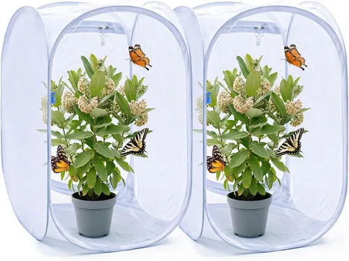 Vista 7 de Pop Up jaula del hábitat de la mariposa, terrario transparente plegable