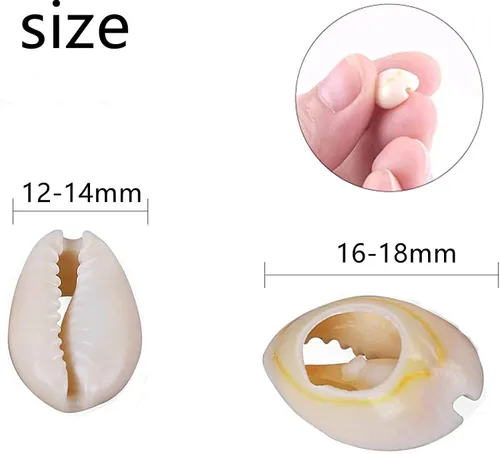 Vista 3 de 100 cuentas de concha de cauri naturales fuertes blancas de 0.63 a 0.71 pulgadas, conchas marinas ovaladas de corte liso, conchas marinas de playa