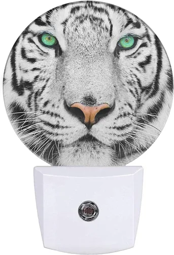 Vista 23 de EKOBLA Bonita luz nocturna de oso, bonito patrón de oso blanco enchufable a la pared con sensor de atardecer a amanecer, luz nocturna LED de 0.5 W