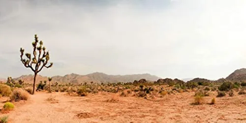 Vista 10 de YongFoto Fondo de fotos de poliéster con vista del desierto de cactus, arbusto verde, rocoso, morado, roca salvaje oeste, paisaje natural, fondo