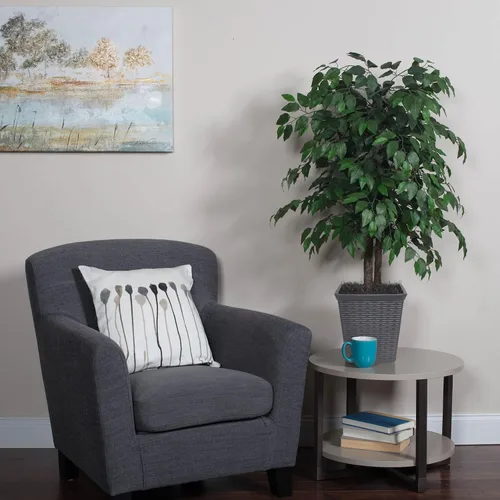 Vista 6 de De Vickerman: Arbusto de ficus artificial de 4 pies con hojas verde oscuro en canasta de mimbre decorativa