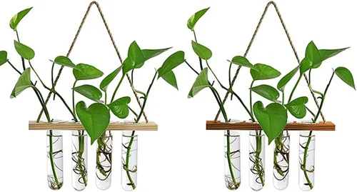 Vista 7 de Maceta colgante de pared terrario con soporte de madera, mini tubo de ensayo, floreros de flores retro colgantes de vidrio propagador para plantas
