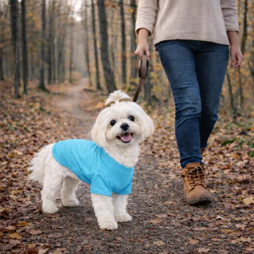 Vista 92 de Lovelonglong 2019 - Ropa para mascotas, Disfraces para Perro, Ropa Camisetas en blanco para Perros Grande Medianos Pequeños 100% Algodón 18
