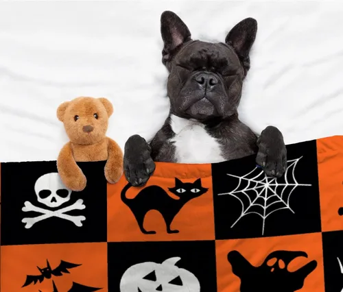 Vista 8 de Manta de Halloween para bebé, diseño de calabaza, fantasma, telaraña, súper suave, manta acogedora para recién nacido, manta de recepción para bebé