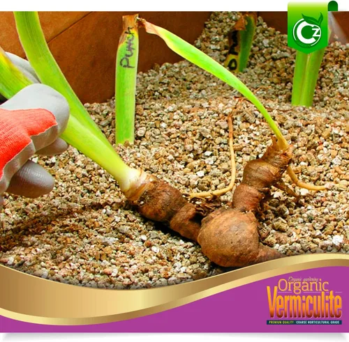 Vista 3 de Vermiculita gruesa – Fabricado en Estados Unidos para todas las plantas de interior/exterior y jardines de flores – Acondicionador aditivo