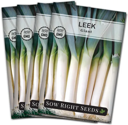 Vista 9 de Sow Right Seeds - Semillas de puerro gigantes para plantar - Paquete de reliquia sin OMG con instrucciones para plantar y cultivar un huerto