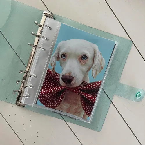 Vista 24 de Álbum de Fotos de Cabina de Fotos 2x6 - Cuaderno con Purpurina de 6 Anillos Carpeta Brillante con 20 Fundas para Fotos de 2 por 6 - Se Adapta a 80