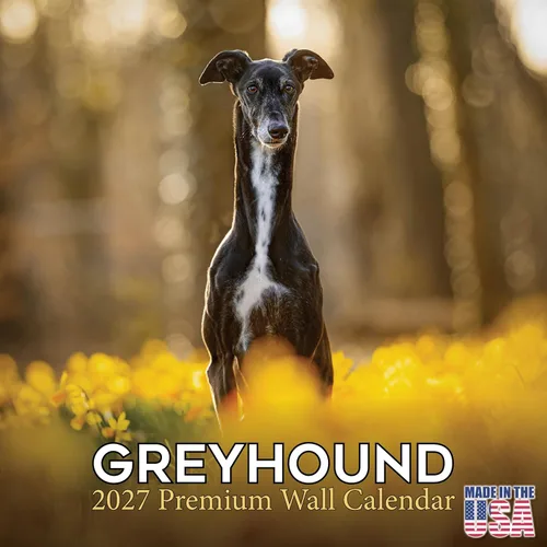 Vista 182 de Calendario de Lebrel Afgano 2025 2026, calendario mensual de pared de raza canina, 12" x 18" abierto, papel grueso sin traspaso, ideal para regalo