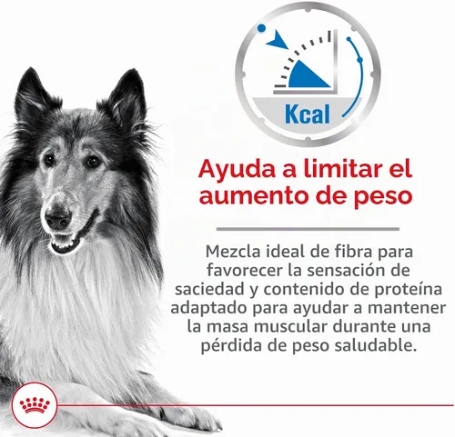 Vista 2 de Royal Canin Alimento seco para perros adultos para razas grandes, bolsa de 30 libras