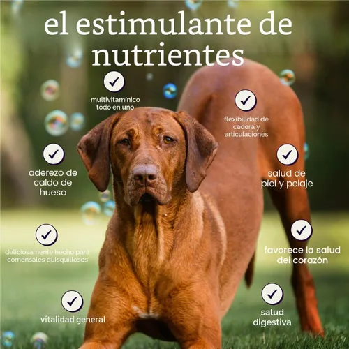Vista 4 de Salsa prémium para perros para alimentos secos y húmedos, quisquillosos