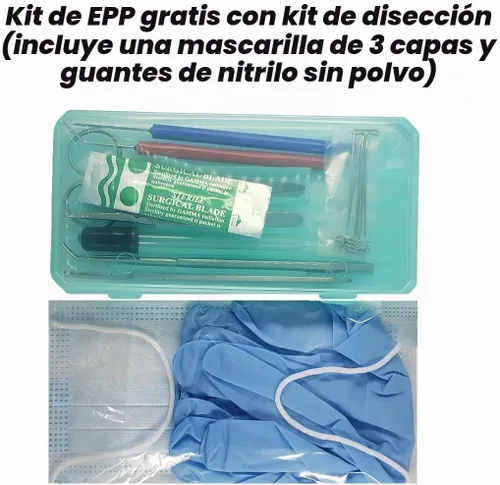 Vista 4 de Kit de disección Precision Plus – Kit de biología de 24 piezas – 9 instrumentos de acero inoxidable – Cuchillas adicionales y pasadores en T