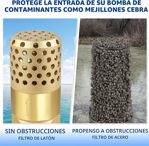 Vista 4 de Válvula de pie de latón 1-1/4 Pulgadas NPT válvula de retención de malla de resorte de servicio pesado conexión hembra unidireccional preventor