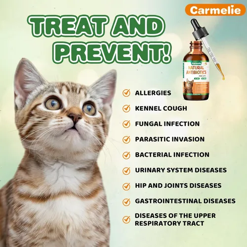 Vista 6 de Antibióticos naturales para gatos – Antibióticos para gatos para aliviar la alergia, apoyo del tracto urinario, alivio de la picazón y apoyo