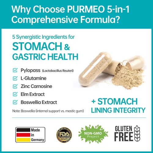 Vista 5 de purmeo Probióticos 5 en 1 de alta potencia H. Pylori, 1 por día, soporte gástrico, comodidad digestiva y protección del revestimiento estomacal