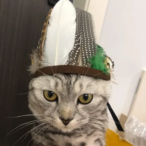 Vista 3 de Accesorio para disfraz de mascota, sombrero ajustable de plumas indias para fiesta de Halloween