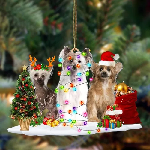 Vista 43 de Nazenti Adorno de Navidad personalizado con amigos Affenpinscher – Adorno de perro personalizado para amantes de las mascotas, acrílico plano