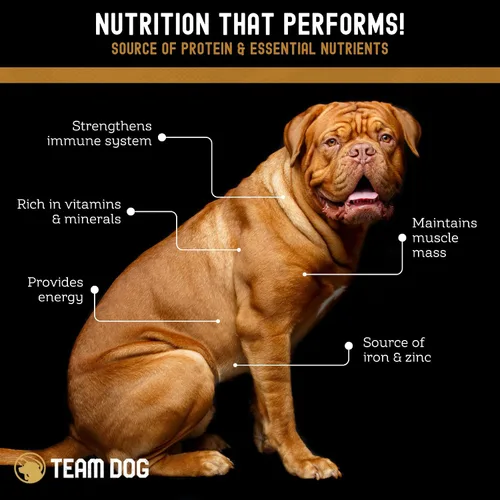 Vista 6 de Team Dog Golosinas para perros con corazón, pulmón e hígado de res, 5.4 onzas, sin gluten y sin granos