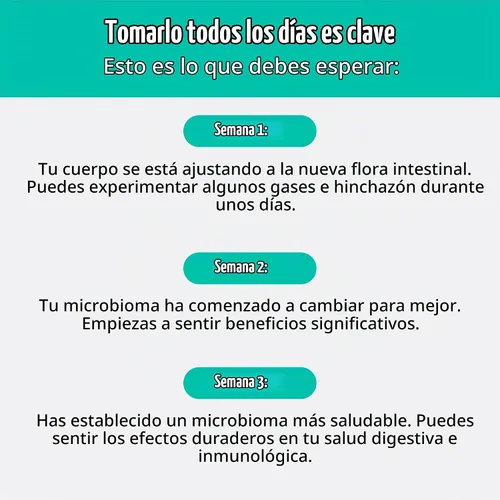 Vista 8 de Prebióticos y probióticos: Lactobacillus Gasseri, Lactobacillus Rhamnosus, Plantarum, Casei, Bifidobacterium longum, lactis, infantis. Prebióticos
