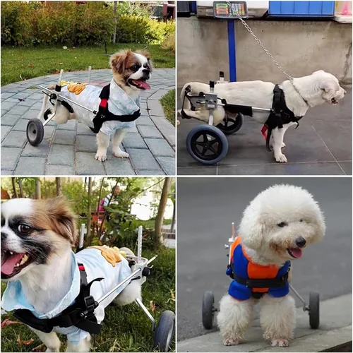 Vista 2 de Silla de ruedas para perros para patas traseras, silla de ruedas para perro, perrito/cachorro ajustable para patas traseras, carrito