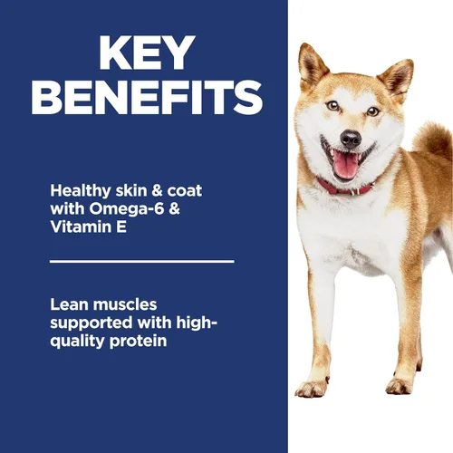 Vista 4 de Hill's Science Diet - Alimento seco para perros adultos 1-6, Nutrición Premium para adultos 1-6, sin maíz, trigo ni soya, pollo y arroz integral