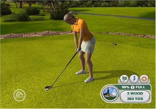Vista 16 de Tiger Woods PGA Tour 09 All-Play - Nintendo Wii