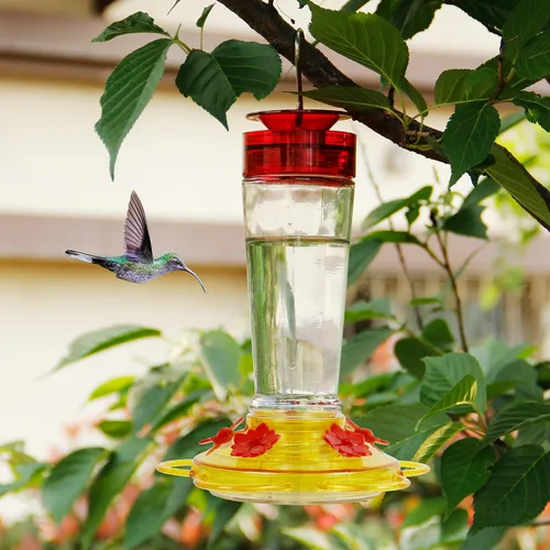Vista 7 de Shrdaepe Comedero para colibríes, comedero para pájaros con botella de vidrio, 5 puertos de alimentación (rojo y amarillo)