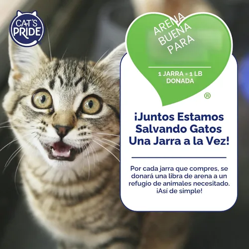 Vista 7 de Cat's Pride Arena aglutinante ligera: bicarbonato de sodio - Potente control de olores - perfumada, 10 libras Baking Soda
