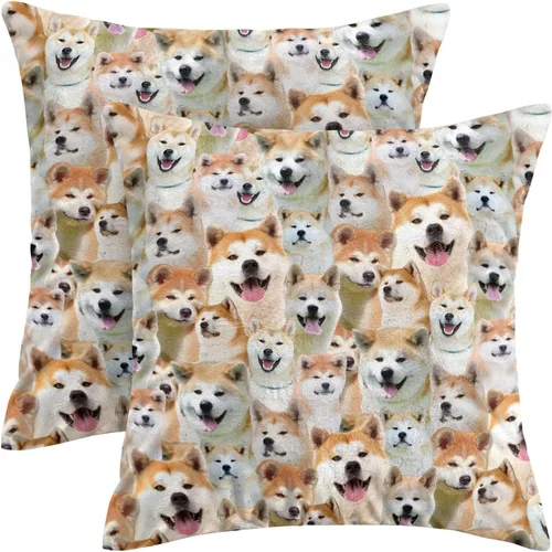 Vista 16 de Regalo para amantes de Airedale Terrier, 2 fundas de almohada de Bingley Terrier, fundas de almohada con estampado de cara de perro, fundas