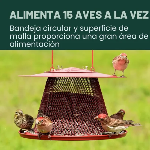 Vista 5 de No/No Red Cardinal c00322 alimentador de aves, Paquete de 1, Rojo