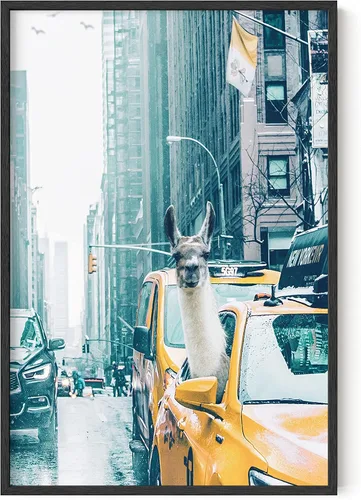 Vista 12 de RipGrip Decoración de dormitorio de llama y arte de pared de llama, pósteres para habitación de niños, bonitos pósteres para dormitorio