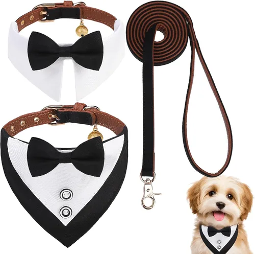 Vista 36 de EXPAWLORER Juego de collar y correa para cachorros, collar clásico a cuadros para perros pequeños con corbatín, bonito juego de collar y correa