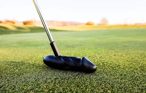 Vista 4 de Peter Putter Professional Golf Putter Premium Aluminum Head with Chrome Stepless Shaft Stiff Flex Graphite Construction Available in Classic