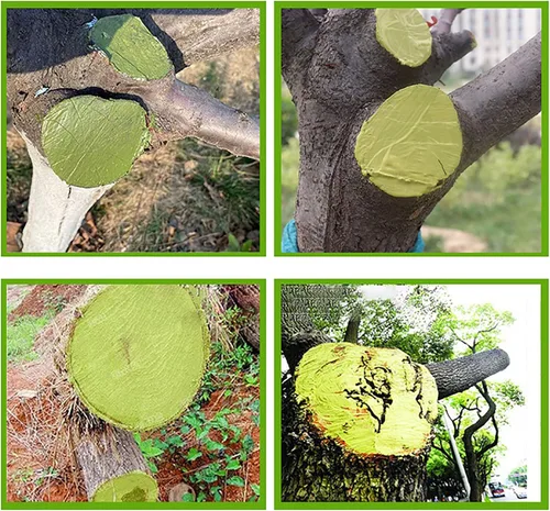 Vista 6 de Sellador de heridas de árbol, pasta de corte de bonsái, sellador de poda, pasta curativa para heridas de árboles, sellador de poda y aderezo