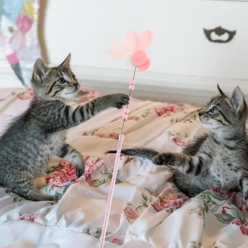 Vista 4 de POPETPOP Juguetes para gatos de 3 piezas, juguetes para mascotas, juguetes para gatos, juguetes para gatos en movimiento, juguetes para gatos