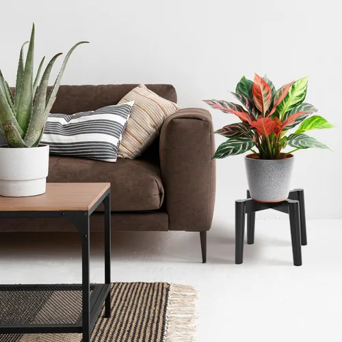 Vista 7 de Soporte de madera para plantas de 7.5 x 9.8 pulgadas, para interiores y exteriores, soporte de madera para macetas de un solo piso, soporte