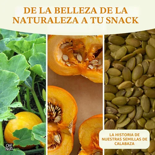 Vista 6 de Oh! Nuts Pepitas - Semillas de calabaza crudas sin sal – Bolsa resellable a granel de 5 libras – Potencia proteica totalmente natural – Snacks